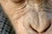 ''Dawn of the Planet of the Apes'': Pierwszy plakat z nowej Planety Małp [foto]