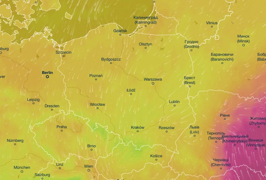 Pogoda długoterminowa. Chłodny początek września. Nie zabraknie deszczu