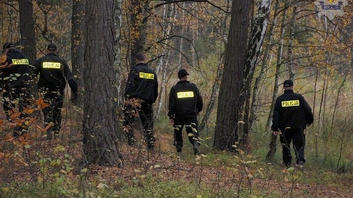 Spacerowiczki znalazły zwłoki nagiej kobiety (zdjęcie ilustracyjne) 