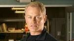 Neal McDonough