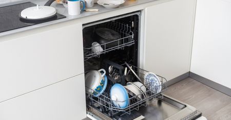 Mało kto wie, że zmywarka też zarasta kamieniem. Jak ją odkamienić?