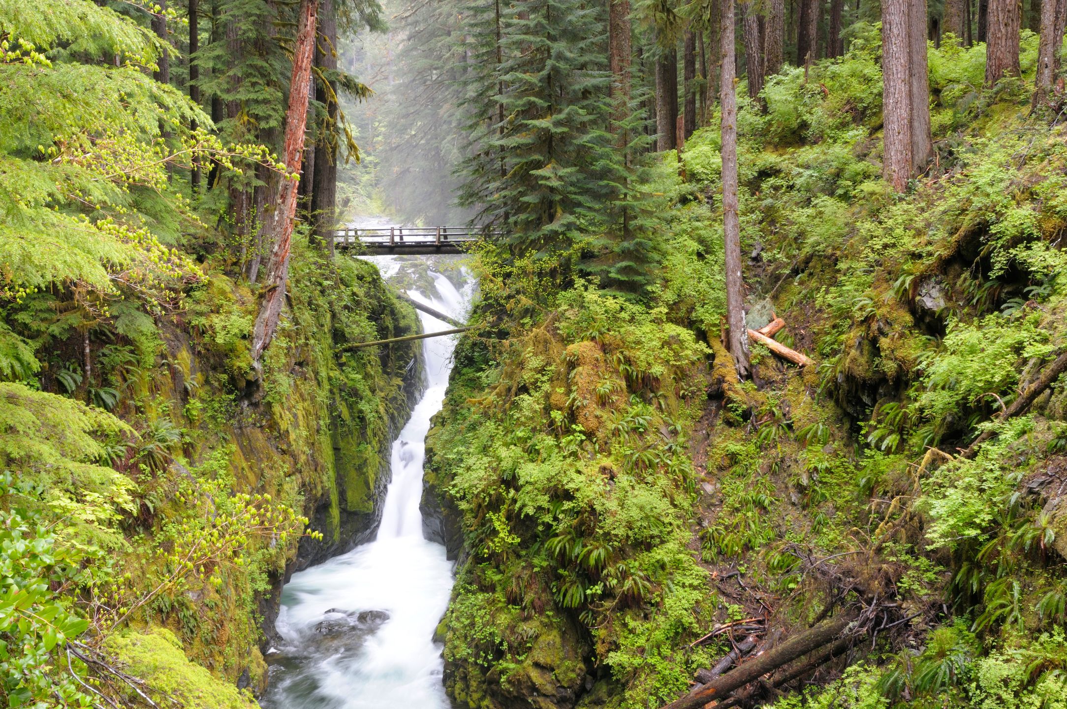 Wodospad Sol Duc Falls