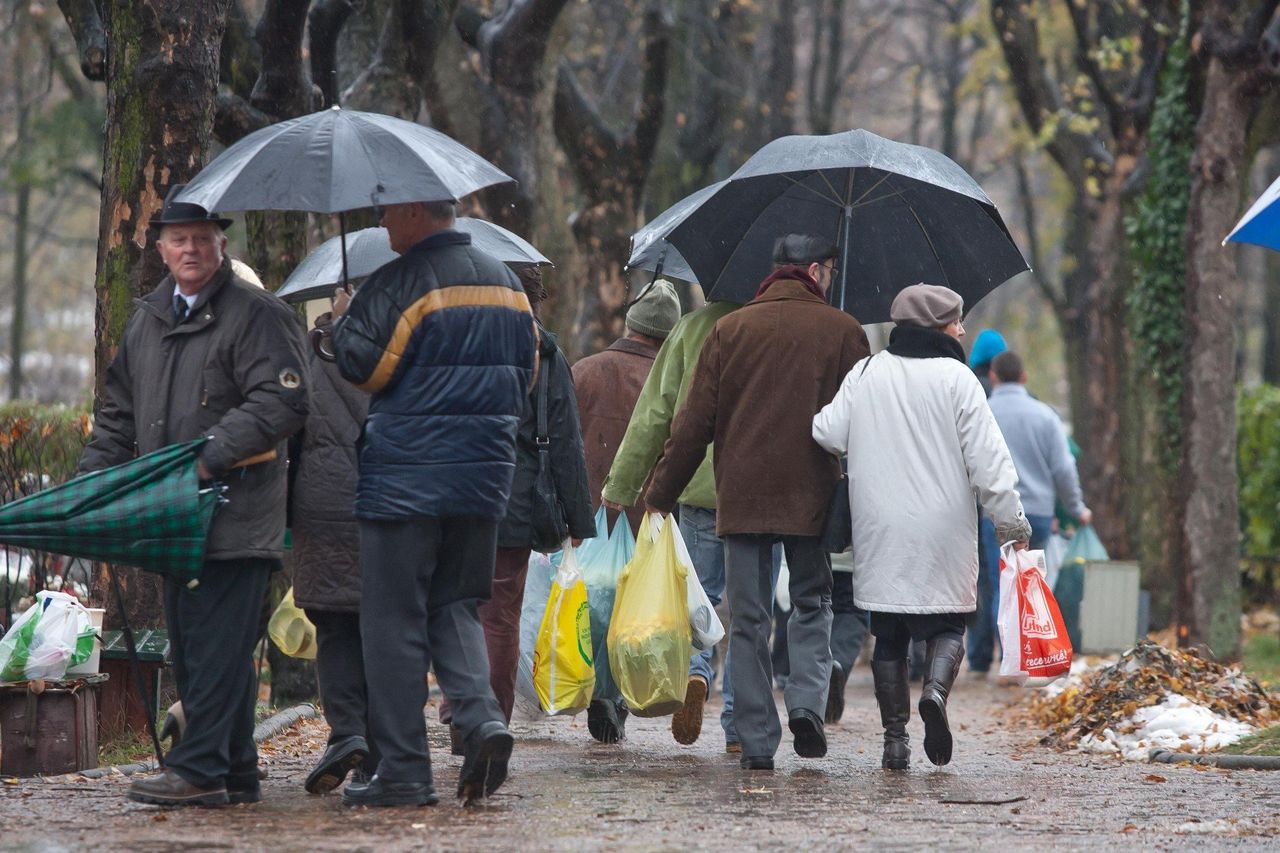 Bydgoszcz: Wstępna prognoza pogody na Wszystkich Świętych 2025