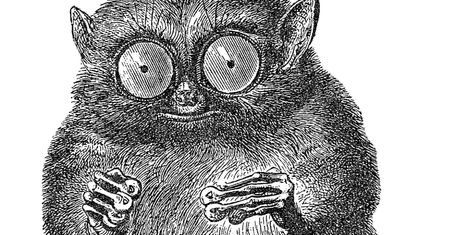 Co powinien wiedzieć programista? Darmowe lektury według O'Reilly