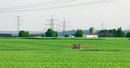 Piractwo kwitnie na polskich wsiach: rolnicy korzystają z nielicencjonowanej informacji genetycznej
