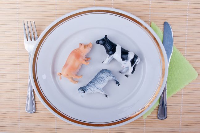 Substancje dodawane do pożywienia zwierząt hodowlanych mogą negatywnie wpływać na zachodzące w naszym organizmie procesy metaboliczne