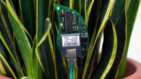 Podlej mnie ! czyli SMS’s od paprotki 1