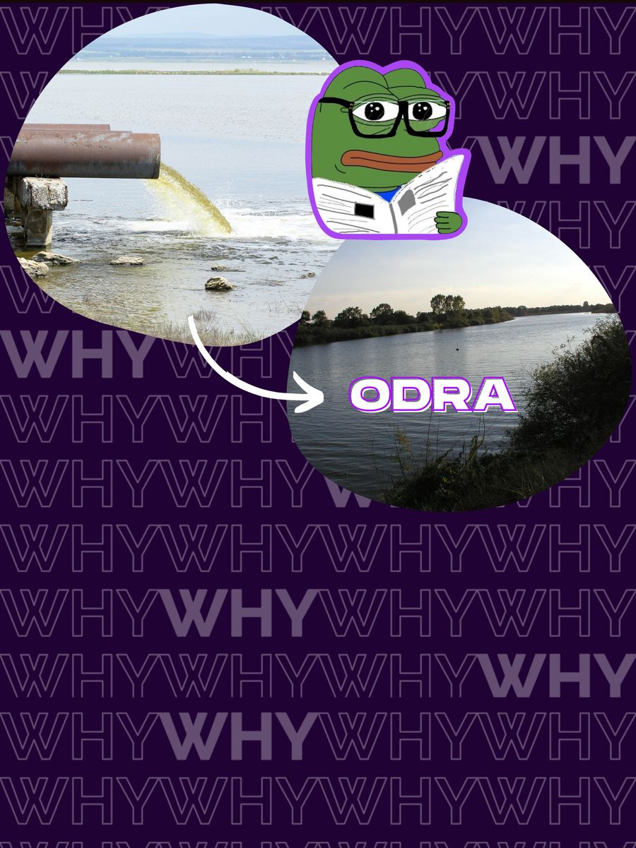 Odra 