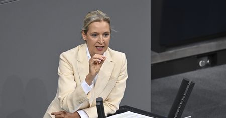 AfD pyta o Bundeswehrę. Ministerstwo Obrony podnosi alarm