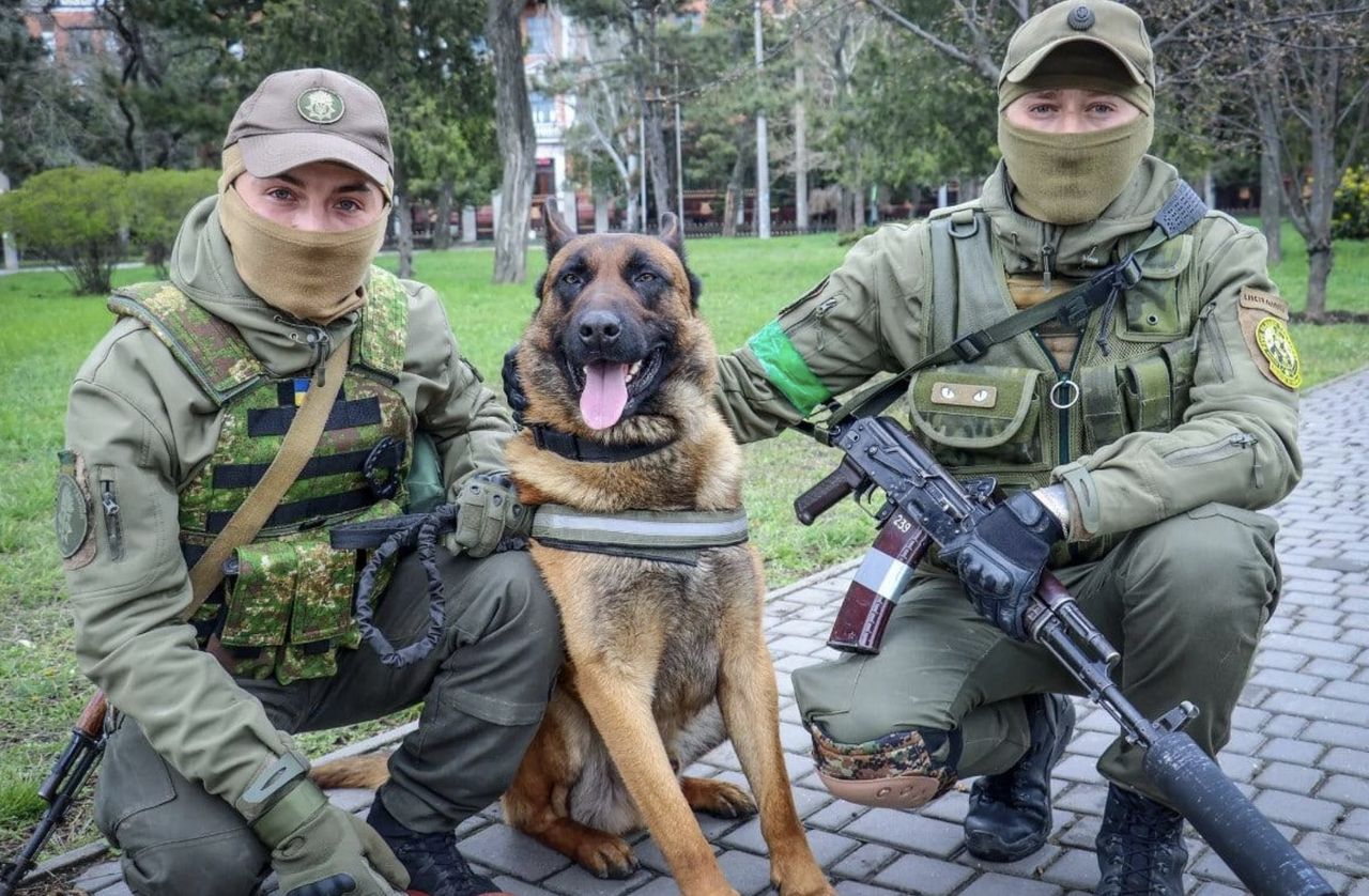 Max to owczarek belgijski, który w wyniku jakiegoś zdarzenia podczas walk w obwodzie mikołajewskim odłączył od rosyjskich wojsk. Teraz wstąpił w ukraińskie szeregi 