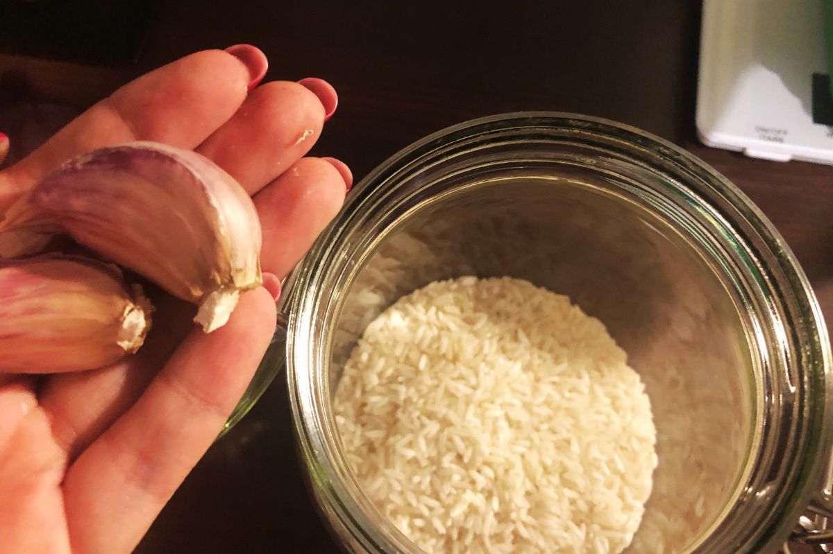 Przechowywanie czosnku z ryżem znacznie wydłuża jego przydatność