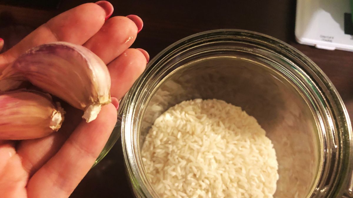 Przechowywanie czosnku z ryżem znacznie wydłuża jego przydatność