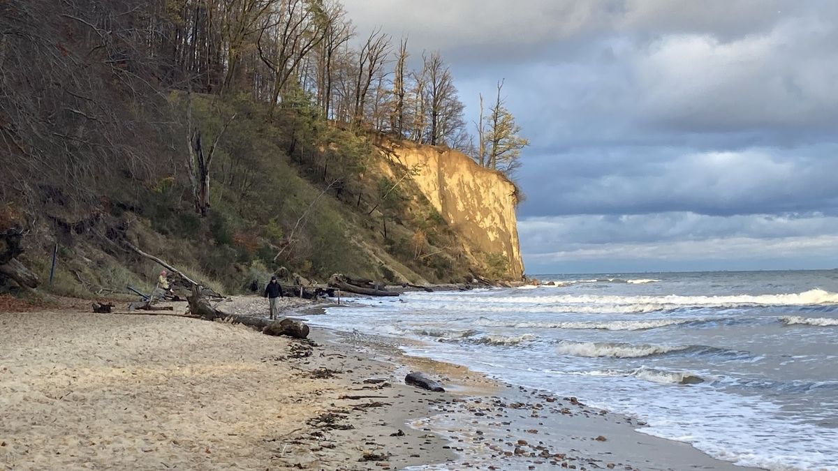 Klif w Orłowie w 2024 r 