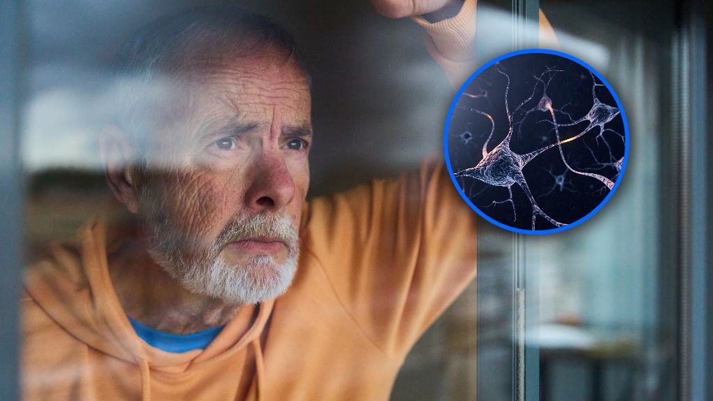 "Ta prosta korekta wystarczyła, by odwrócić zachowania związane z lękiem i deficytami społecznymi"