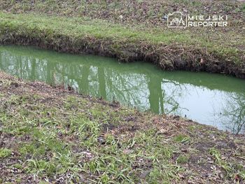 Warszawa: Zielona woda w Potoku Służewieckim zaniepokoiła mieszkańców