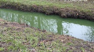 Warszawa: Zielona woda w Potoku Służewieckim zaniepokoiła mieszkańców