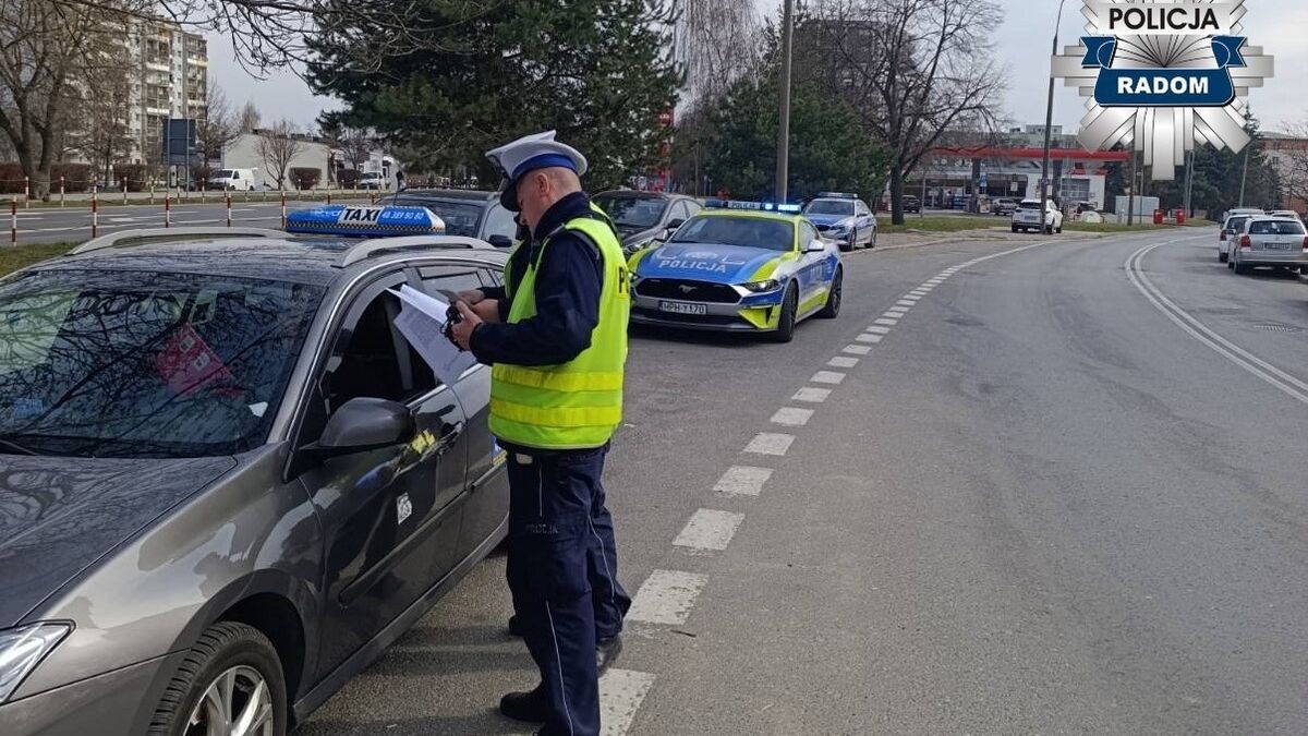 Mustang radomskiej policji używany jest do zwykłych czynności