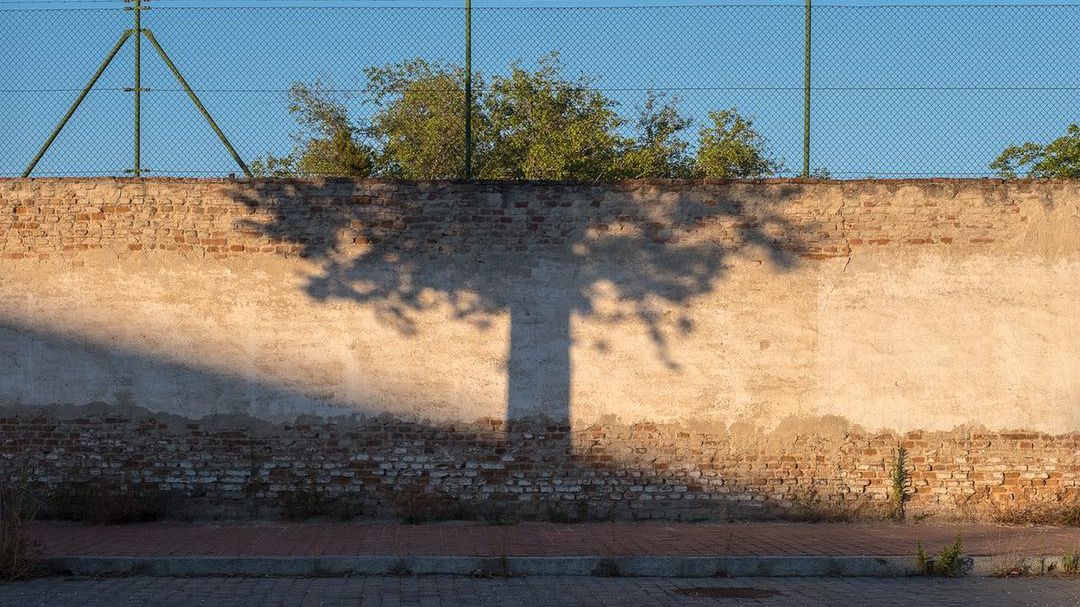 Denis Cherim opanował sztukę idealnego komponowania obrazu do perfekcji 1