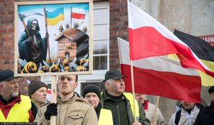 Pszczelarze wściekli na miód z Ukrainy. Zdradzają powód