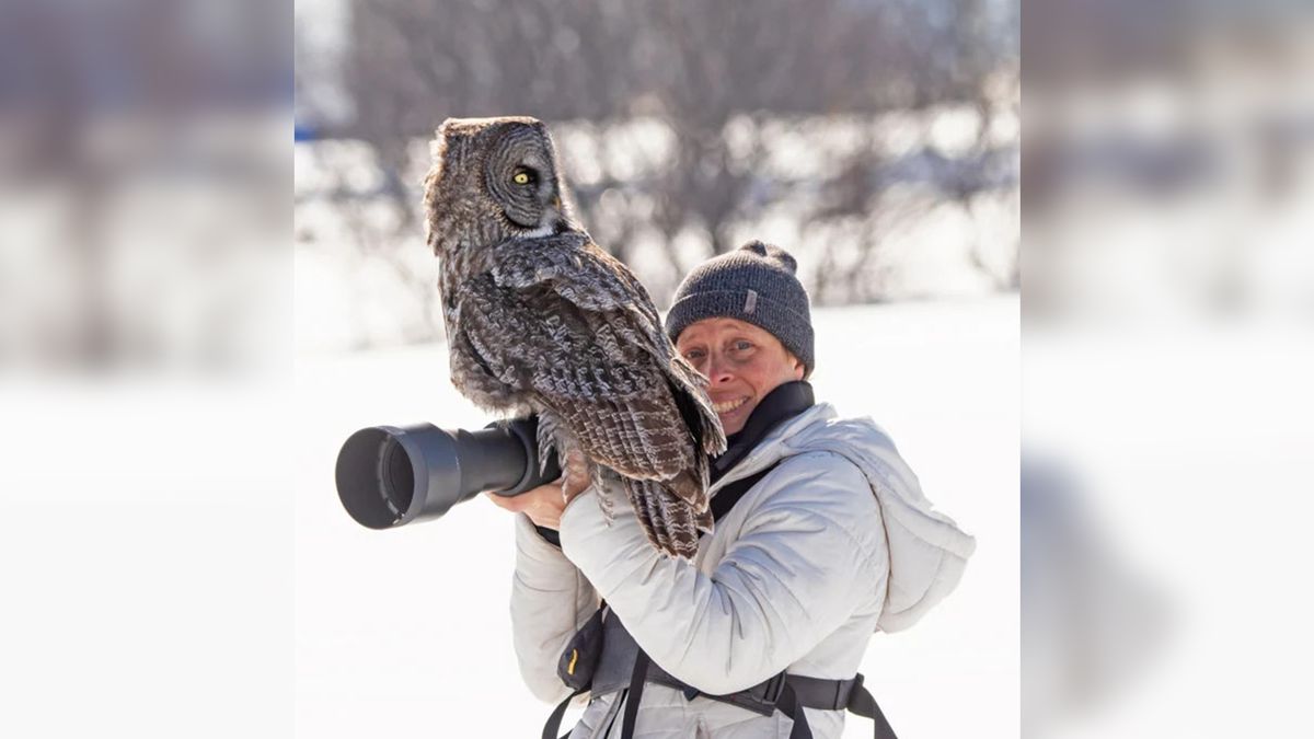 Wielki puszczyk na obiektywie. Jej mina mówi sama za siebie 1
