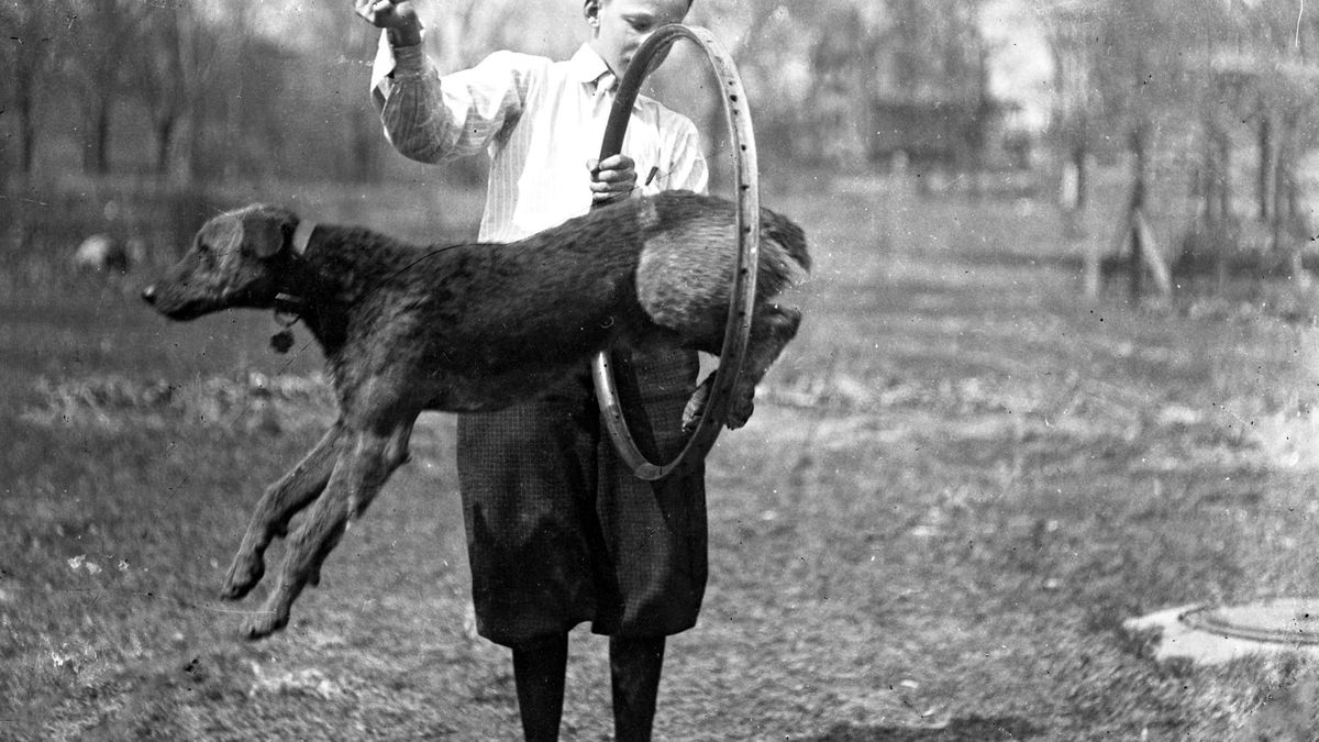 200 szklanych negatywów odnalezionych w wysiedlonym domu 1