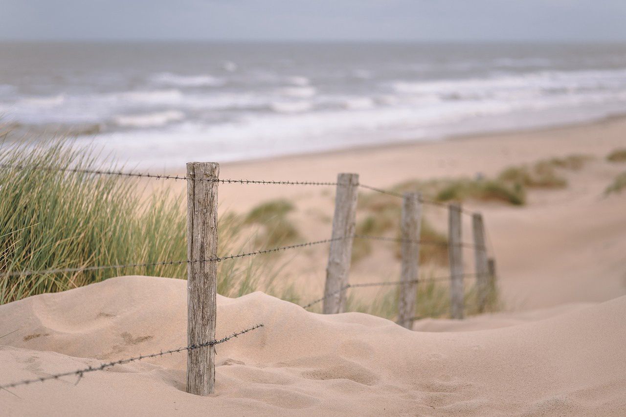 Makabra w Gdyni. Plażowicze znaleźli zwłoki