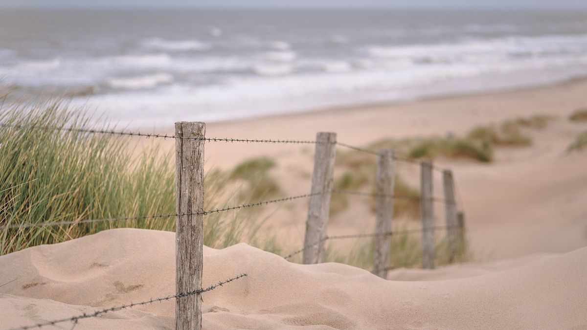 nie zyje plaza zwloki