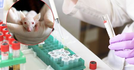 Jak ochronić ginące gatunki? Naukowcy sięgają po odchody