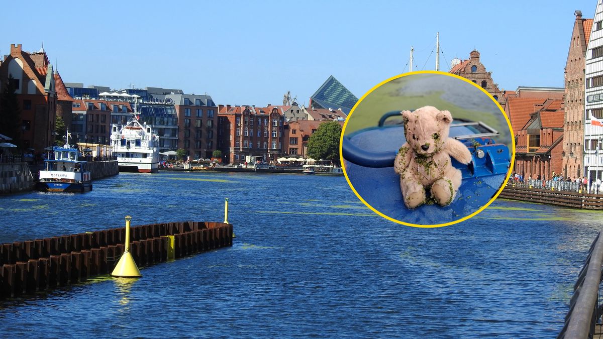 Misia znaleźli archeolodzy