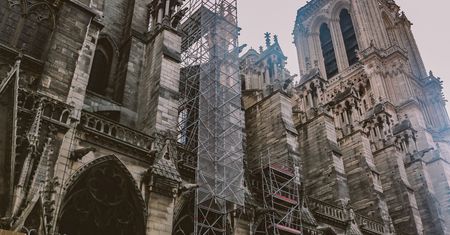 Francja. Polka pracuje przy odbudowie katedry Notre-Dame