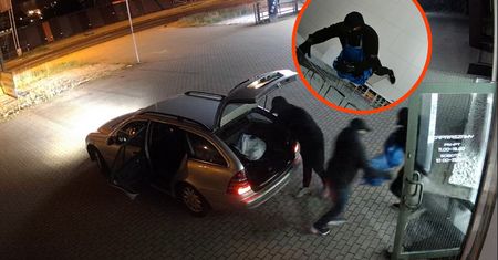 Zuchwała kradzież w Poznaniu. Właściciele oferują nagrodę za pomoc
