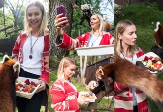 Wzruszona Szulim karmi i robi selfie ze zwierzętami w poznańskim zoo (ZDJĘCIA)