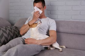 Alergia na psa