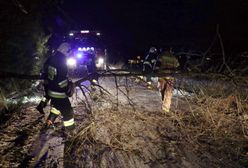 Pogoda. Halny w górach. Podmuchy prawie 200 km/h, powalone drzewa