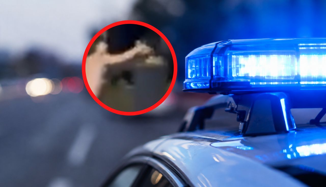 Atak 22-latki na strażnika. Kobieta wyszła ze szpitala