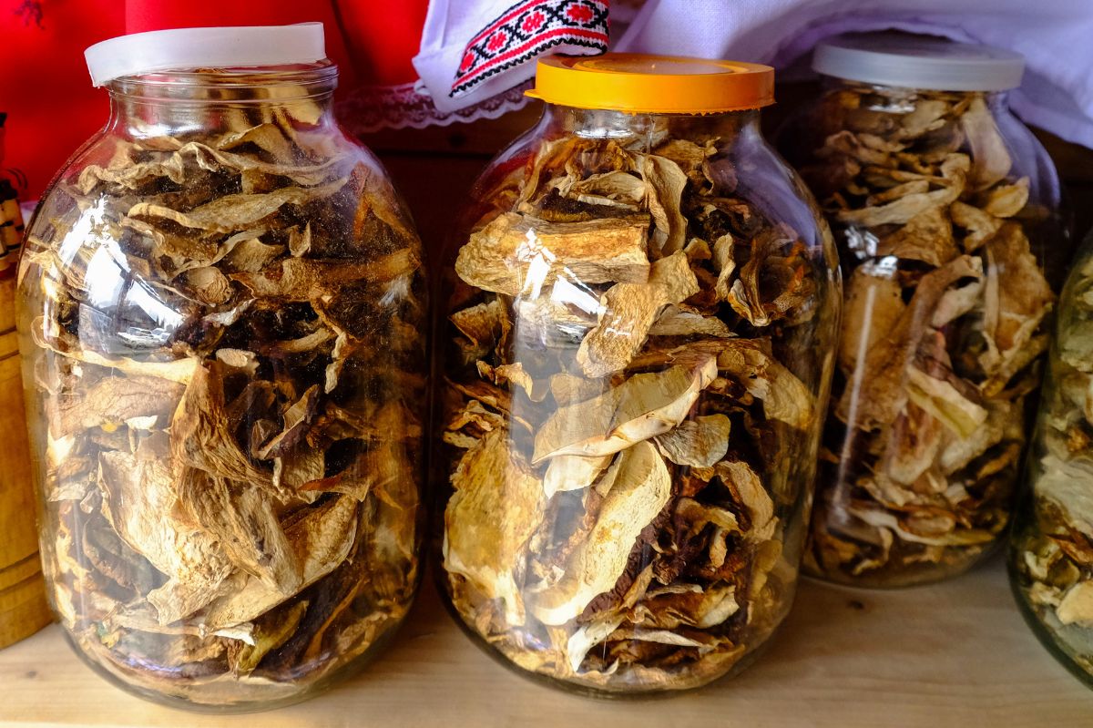 Dried mushrooms - Delicacies