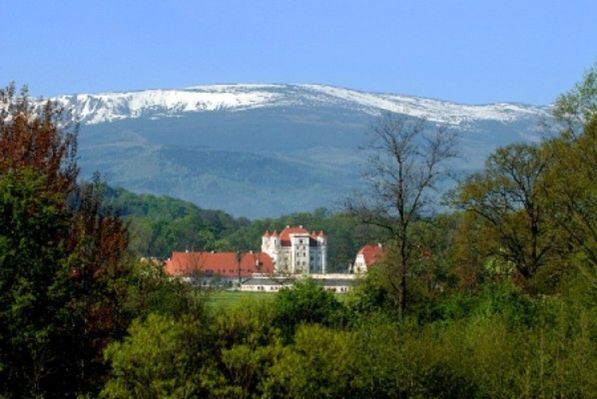 Obraz