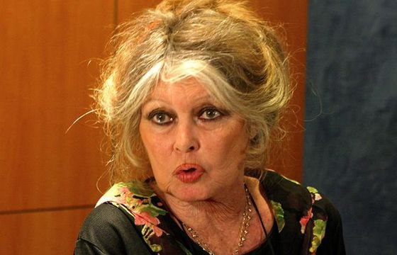 Brigitte Bardot ukarana grzywną 20 tys. euro za rasistowskie uwagi wobec mieszkańców Reunion