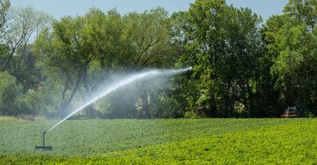 Ponad 14 mln zł kar za wodę. Eksperci alarmują ws. suszy