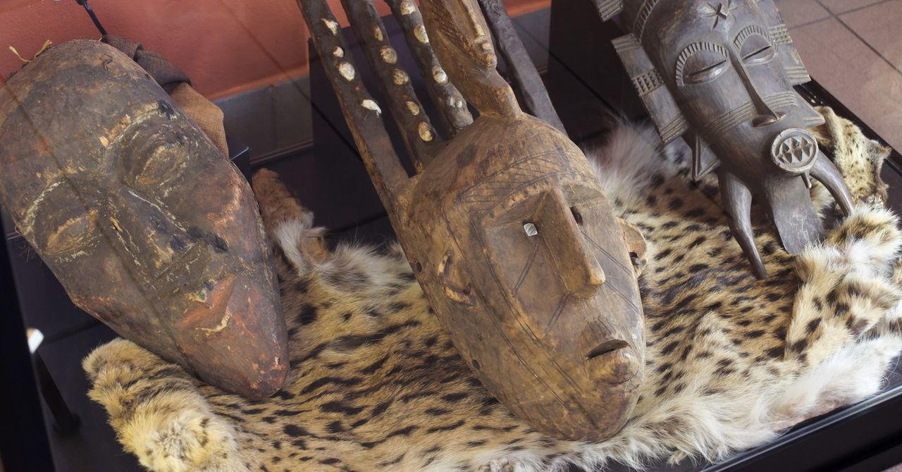 Afryka w sercu Olkusza. Niezwykłe muzeum, które trzeba zobaczyć. Tu każdy eksponat opowiada swoją historię