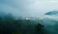 Digital Kingdom przygotowało nową platformę komunikacji BBC Earth