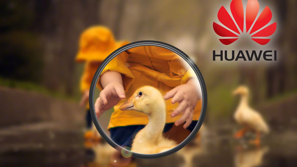 Huawei reklamuje działanie aparatu w serii P30 zdjęciami z lustrzanki 1