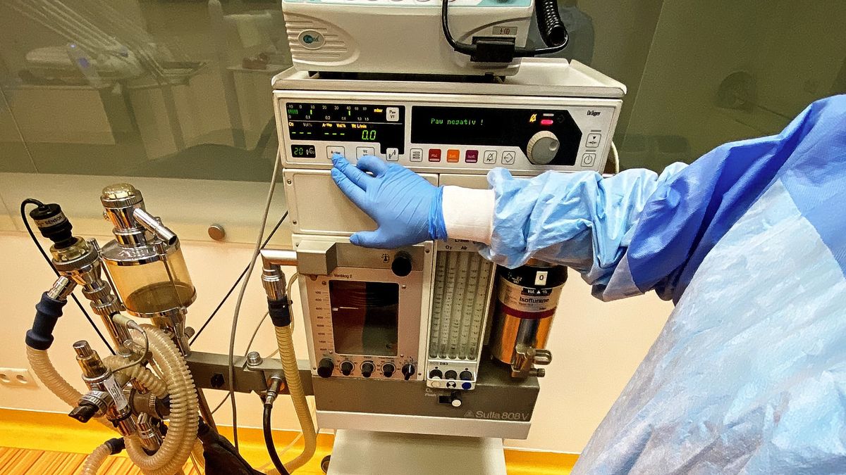 (Julian Sojka, East News, Fot: Julian Sojka, East News)