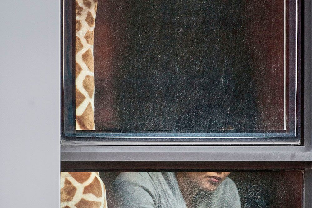 Arne Svenson podglądał z aparatem sąsiadów z bloku naprzeciwko. Uchwycił zaskakujące chwile 6