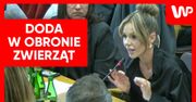 Emocje w Sejmie. Doda i Rozenek-Majdan punktowały polityków