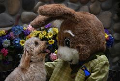 Wielkanoc 2021. Wyjątkowe życzenia i wierszyki wielkanocne