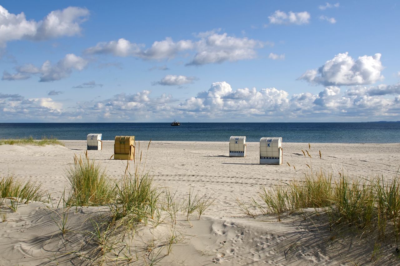 Surging cyanobacteria force summer swim bans along the Bay of Lübeck