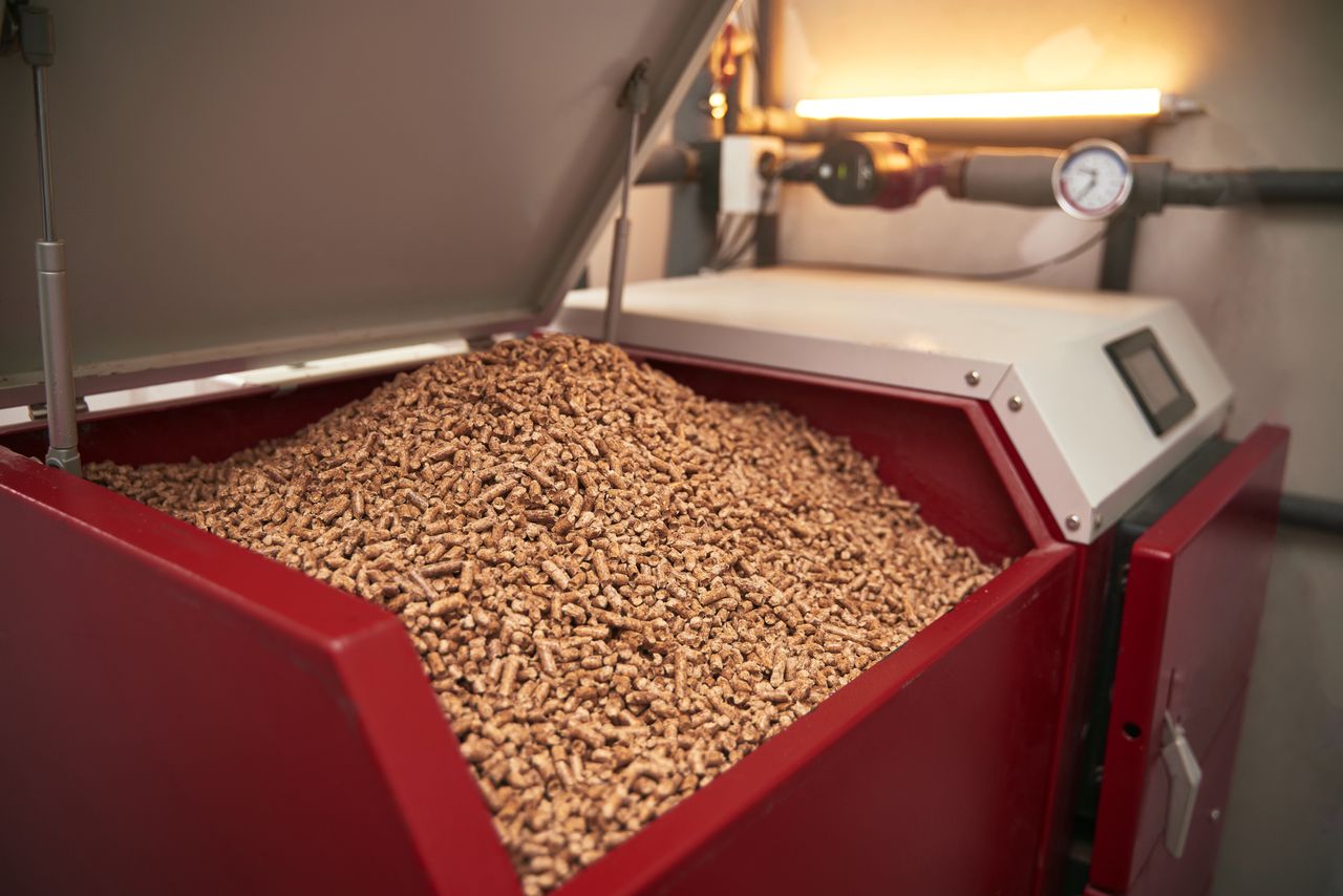 Biomasa i pompy na topie. Czym dziś ogrzewamy domy?