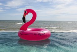 Wakacje 2020. Kosztowne akcje ratunkowe przez dmuchane flamingi.