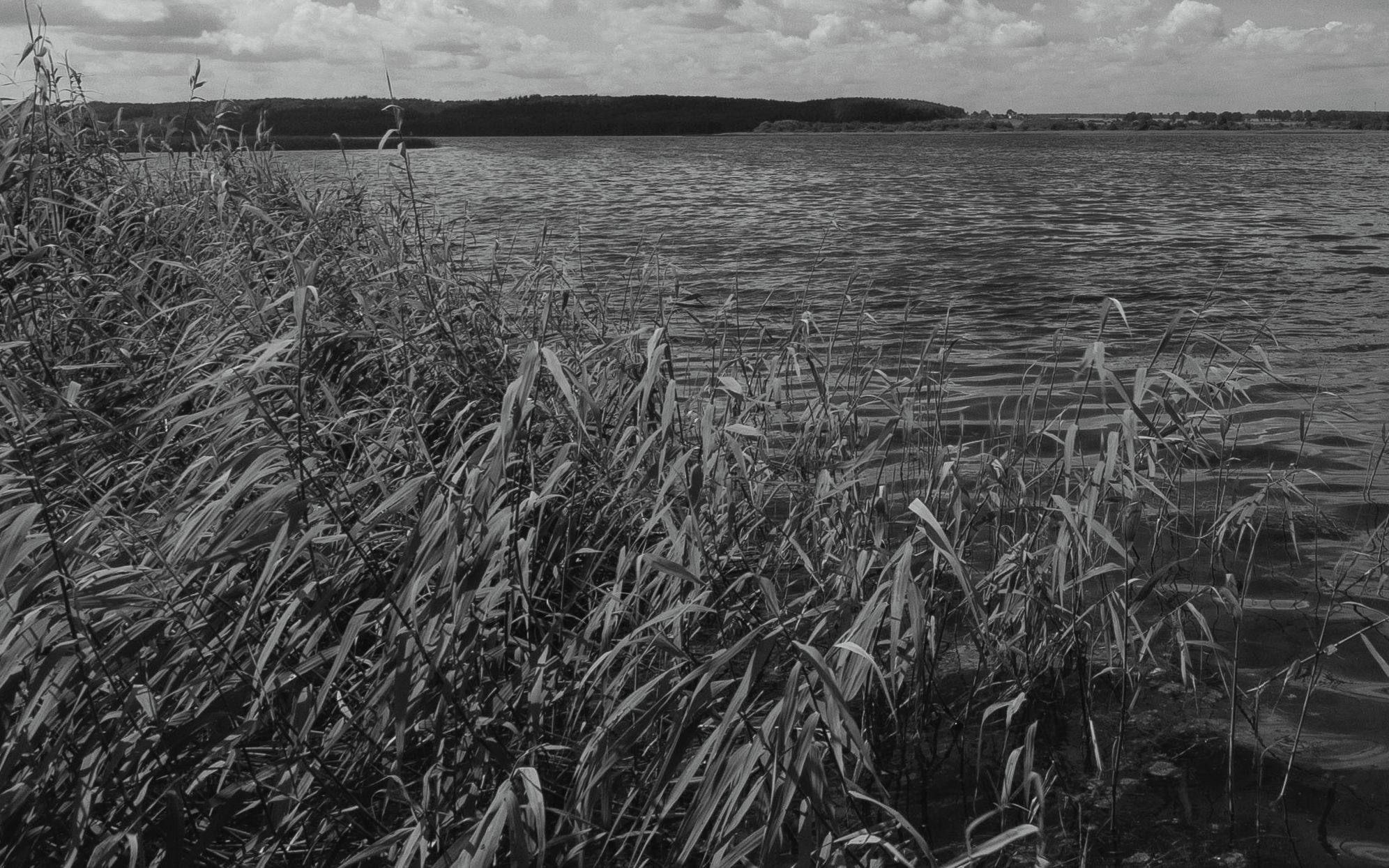 Voigtländer Ultra Wide Heliar Aspherical II 12 mm f/5.6 - Ultra szeroka maszyna do kreowania równoległej rzeczywistości 42